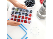 Emsa Clip & Close Ijsblokjesdoos