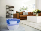 Bison Original Absorbeur d'Humidité 900g + 2 ultra aimants