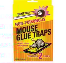 J.T. Eaton - Pièges à colle 8 boules taille souris