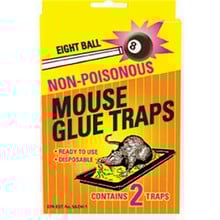 Mouse Size Glue Traps - 8 Balls