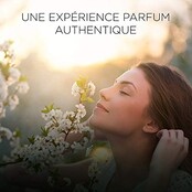 Air Wick 236 ml Spray Interior Spray Botanica