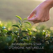 Air Wick 236 ml Spray Interior Spray Botanica