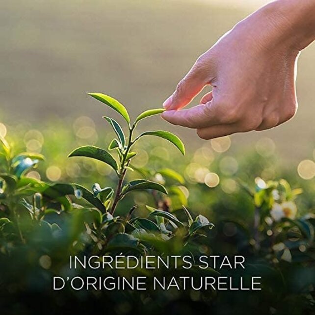 Air Wick 236 ml Spray Innenspray Botanica