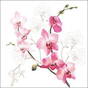Ambiente Napkins Orchid