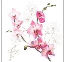 Ambiente Servietten Orchidee