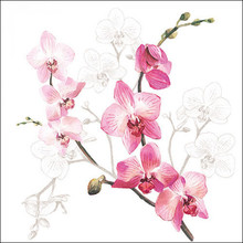 Ambiente Napkins Orchid