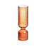Paldinox Paldinox Glass Vase H20D6cm -