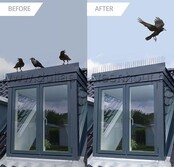 Épingles à pigeons 1 M