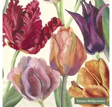 IHR Servietten 33x33 cm - TULPEN creme