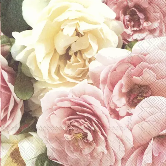 Serviettes IHR 33x33 cm - AWDOTJA