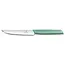 Victorinox Victorinox Steak Knife Swiss Modern - Straight Edge - 10cm - Mint Green