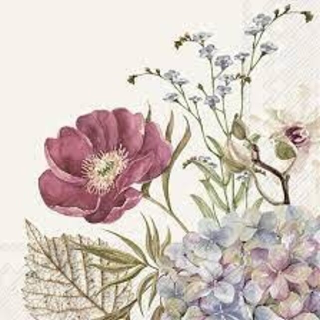 IHR Servietten Belles Fleurs Creme