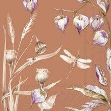 Serviettes Nodin Rost