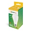 Spectrum LED Lamp - E27 fitting - 15W - Bright white light
