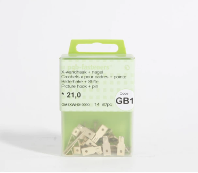 PGB X wall hooks/frames + nails - m21 GB1