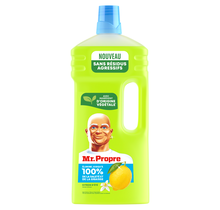 Mr. Propre Allesreiniger Zomer Citroën 1.3L