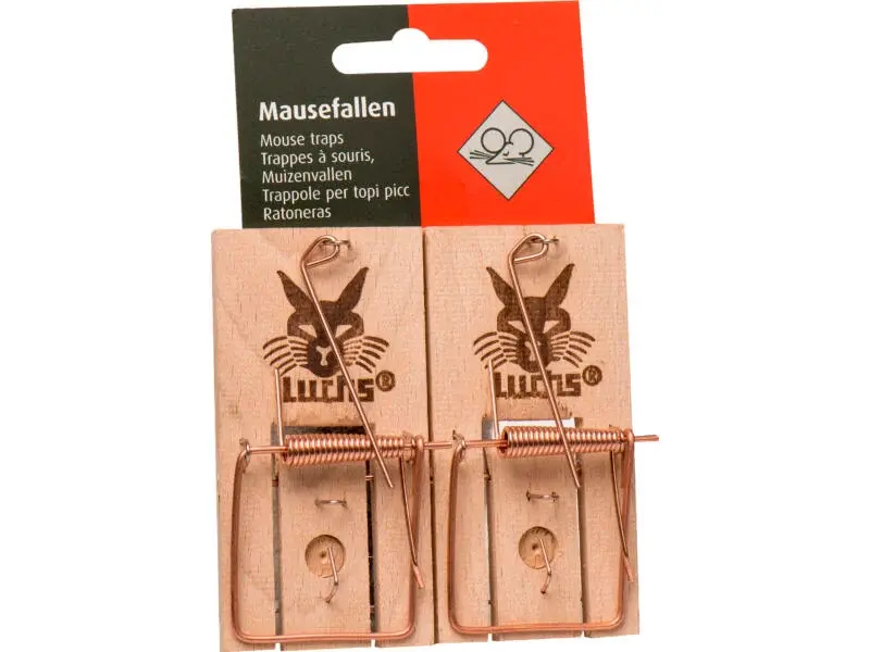 Figurine Souris En Bois – Décoration Rustique – Occasion