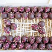 Lollipop Stokken - 100 Stuks - Cake Pop Papier Stok Lolly Sucker Sticks