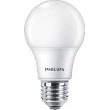 Philips Ampoule LED E27 Mat 8W 806lm -830