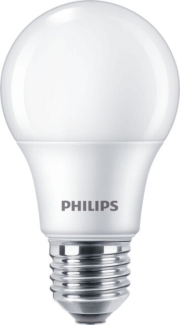 Philips Ampoule LED E27 Mat 8W 806lm -830
