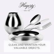 Hagerty Silber- und Multimetall-Reinigungsschaum 185 g