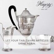 Hagerty Silber- und Multimetall-Reinigungsschaum 185 g