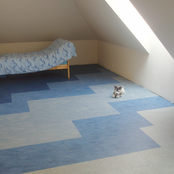 HG Plastic Floors Power cleaner P79 - 1L