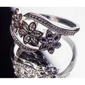 Hagerty Fashion Jewelry Clean 170ml: costume jewellery cleaner