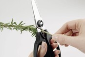OXO Kitchen and Herb Scissors