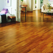 HG Parquet Cleaner 2L N54