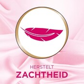 Woolite Waschmittel für Wolle, Seide und empfindliche Stoffe – 32 Waschzyklen – 1,9 l