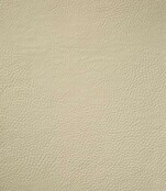 Leather Look Placemat