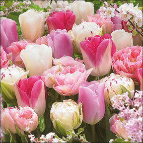 Serviettes Ambiente Mélange de Tulipes Roses