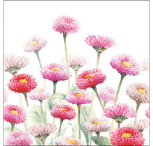 Ambiente Servietten Painted Bellis Mix