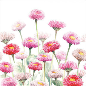 Ambiente Servietten Painted Bellis Mix