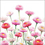 Ambiente Ambiente Servietten Painted Bellis Mix