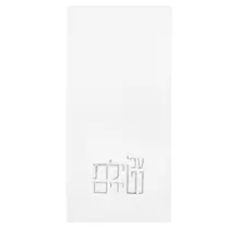 Waterdale Netilas Yadayim Gastendoek 42x30 cm  - 20 Stuks Wegwerp