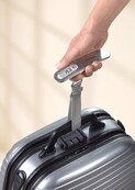 Pèse-bagage numérique de voyage Soehnle en acier inoxydable Nr. 66172