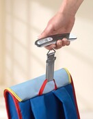 Pèse-bagage numérique de voyage Soehnle en acier inoxydable Nr. 66172