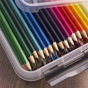 Sunware Q-line Boîte de Rangement 1L Transparent Métallisé