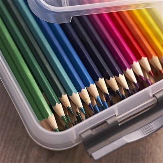 Sunware Q-line Boîte de Rangement 1L Transparent Métallisé