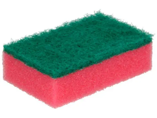 Nicols Netto Classic Reinigingssponzen 10 stuks