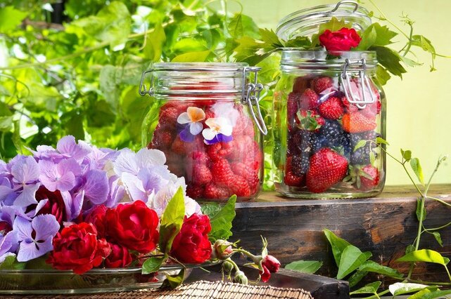 Bormioli Rocco Weckglas Fido 11 x 11 cm / 1,5 Liter