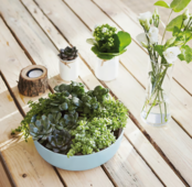 Luminarc Diwali Paradise Blue Salad Bowl D22cm