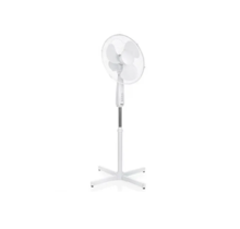 Rainbow Fan on Stand - 40cm