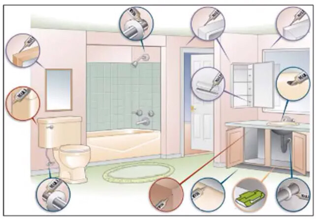 Bayer Maxforce WHITE IC Kakkerlakkengel 4x 30g (Imidacloprid 2.15%)