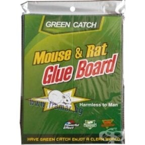 Mouse & Rat Glue Board