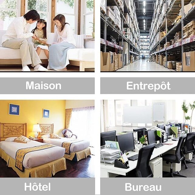 Muizenval, rattenval, muizenplakplaat, antimuizen-antirattenval