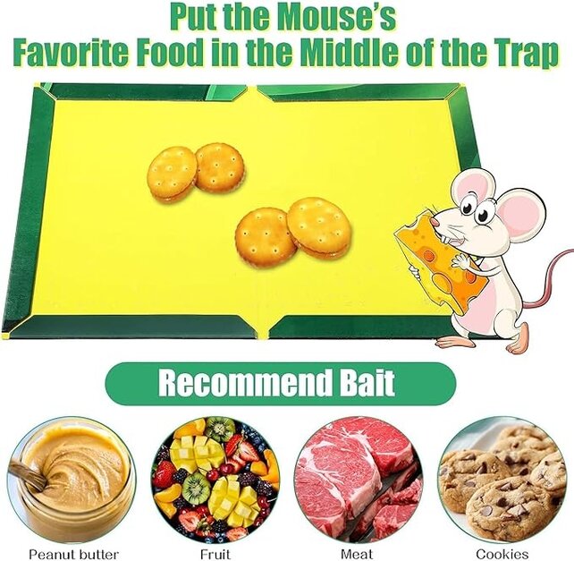 Mouse Trap, Rat Traps, Mouse Sticky Plates, Anti Mice Anti Rat