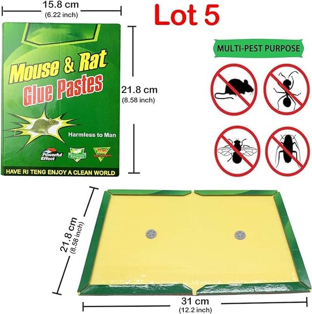 Pièges à souris, pièges à rats, plaques adhésives pour souris, anti-souris, anti-rats